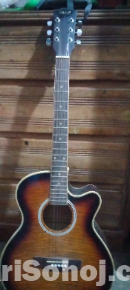 Acoustic guitar